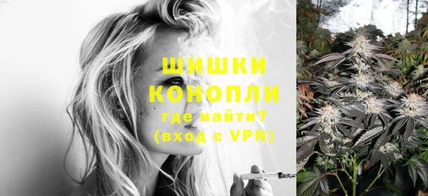ГАЛЛЮЦИНОГЕННЫЕ ГРИБЫ Балахна